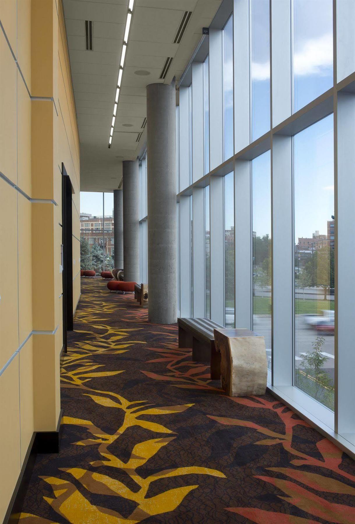 Springhill Suites By Marriott Denver Downtown מראה חיצוני תמונה